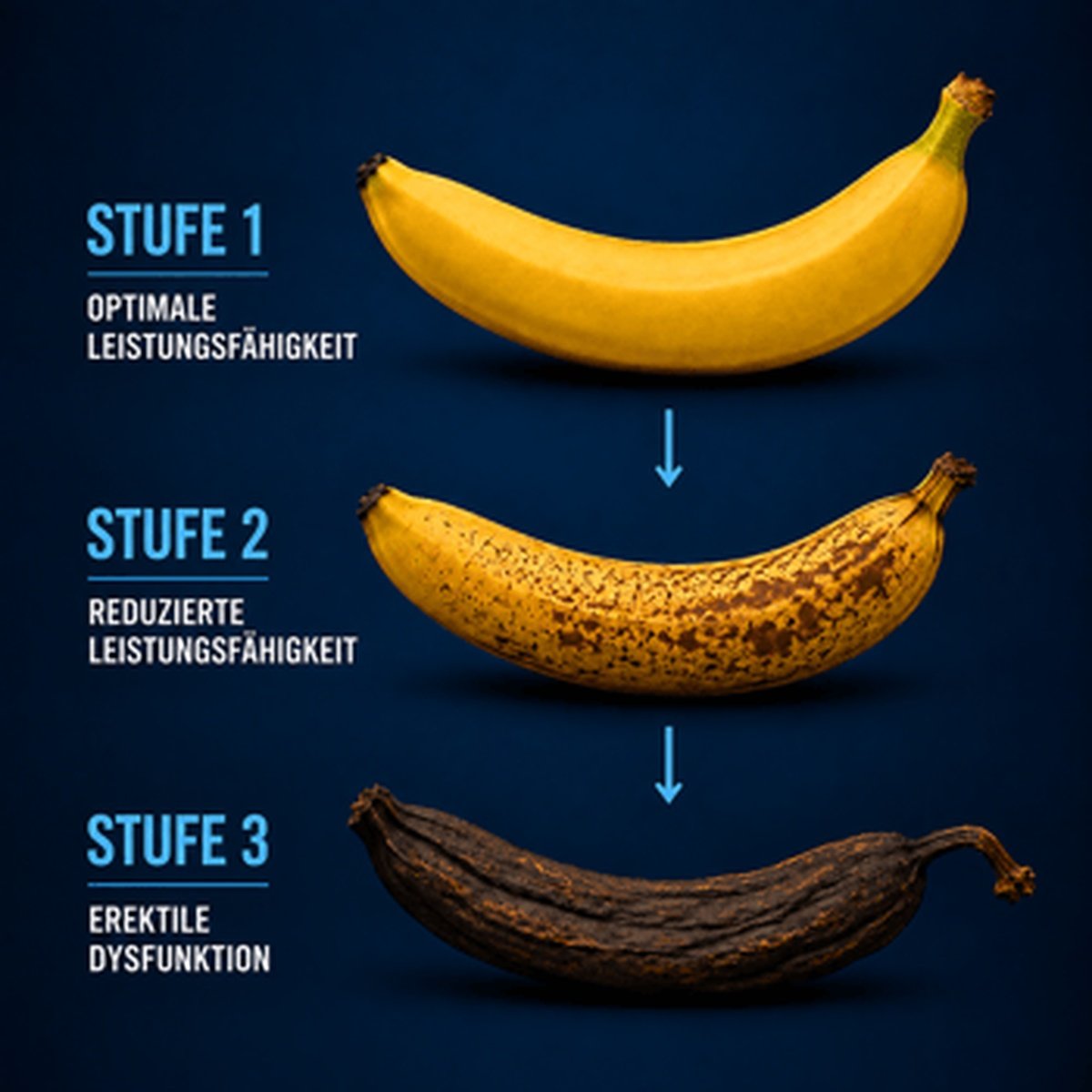 Virdexis product information illustration